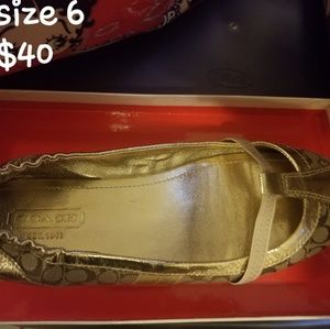 Coach shoes